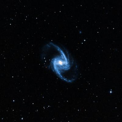 NGC 1365 survey image