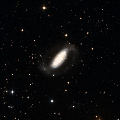 NGC 1808 survey image