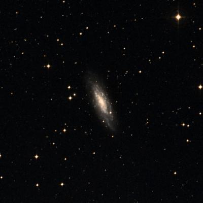 NGC 7456 survey image