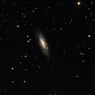 NGC 7456 survey image