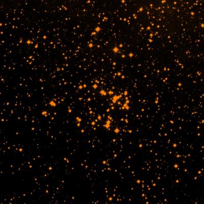 NGC 6268 survey image