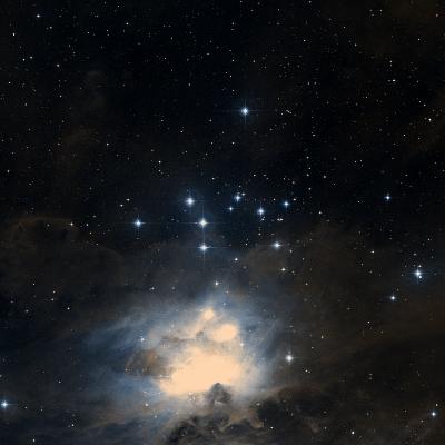 NGC 1981 survey image