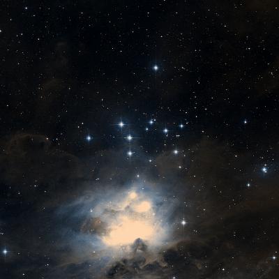 NGC 1981 survey image