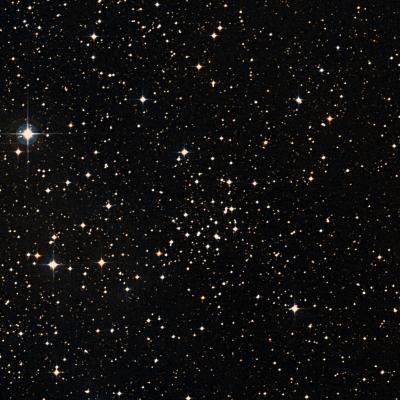 NGC 2311 survey image