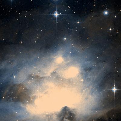 NGC 1975 survey image