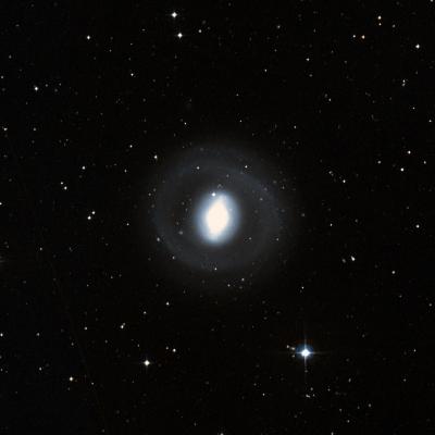 NGC 1291 survey image