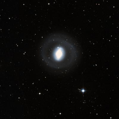 NGC 1291 survey image