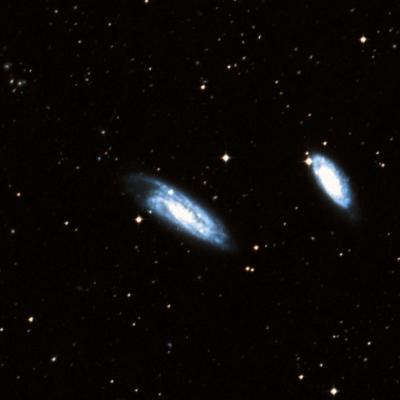 NGC 7599 survey image