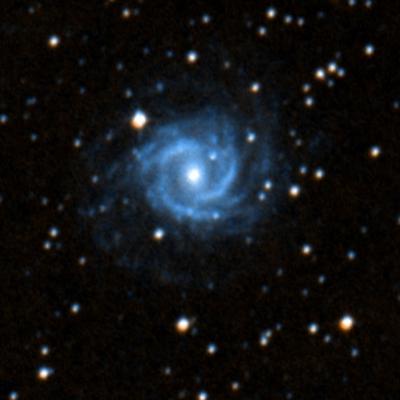 NGC 4444 survey image