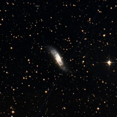 NGC 4219 survey image
