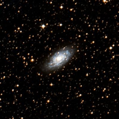 NGC 5530 survey image