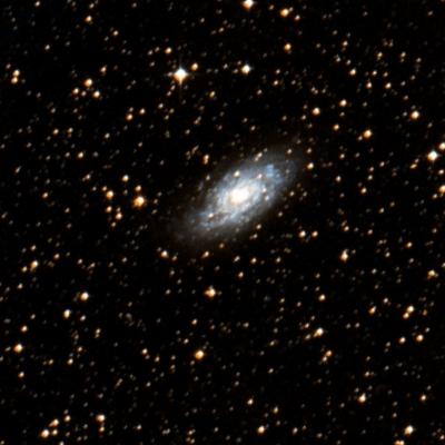 NGC 5530 survey image