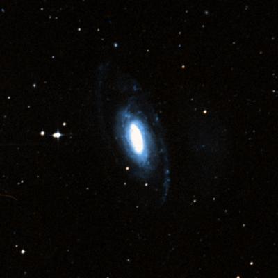 NGC 7531 survey image