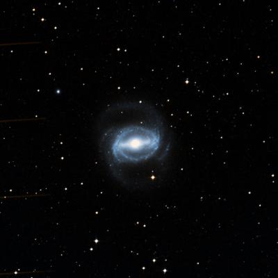 NGC 1433 survey image