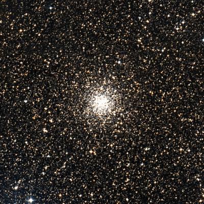 Caldwell 81 survey image