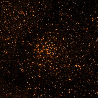 NGC 6134 survey image