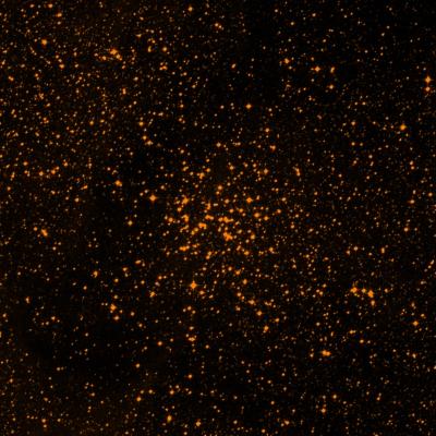 NGC 6134 survey image