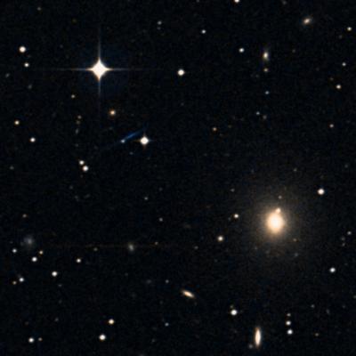NGC 3022 survey image