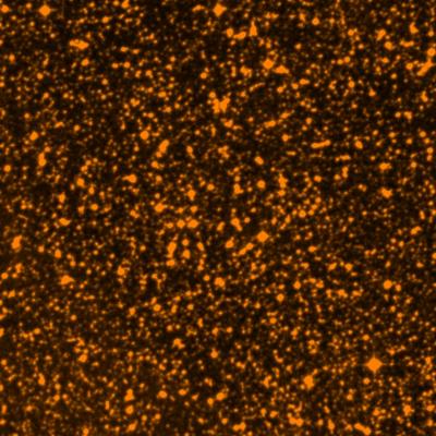 NGC 6115 survey image
