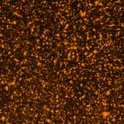 NGC 6115 survey image