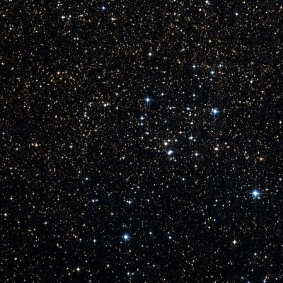 NGC 2925 survey image