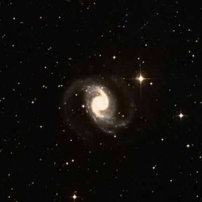 NGC 1566 survey image