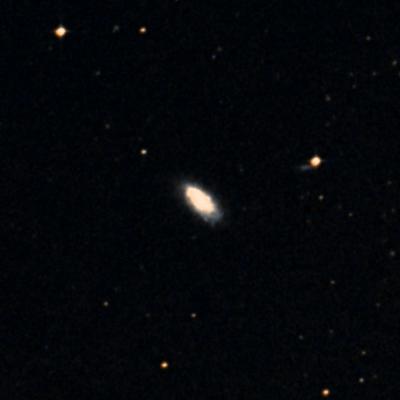 NGC 1299 survey image