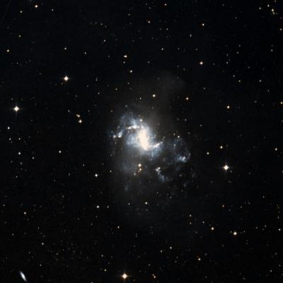 NGC 1313 survey image