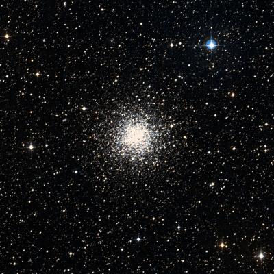 NGC 6362 survey image