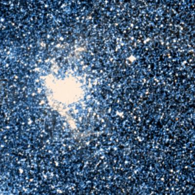 NGC 1850 survey image