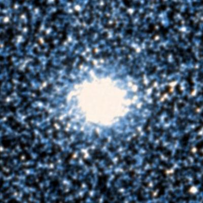 NGC 1835 survey image