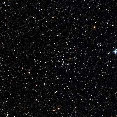 NGC 2215 survey image