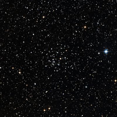 NGC 2215 survey image