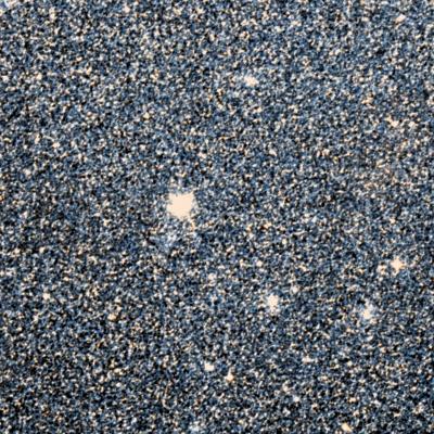 NGC 2019 survey image