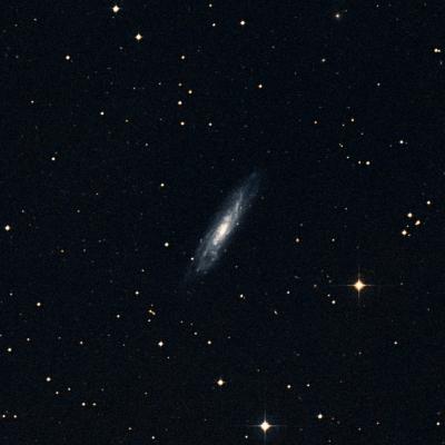 NGC 1337 survey image