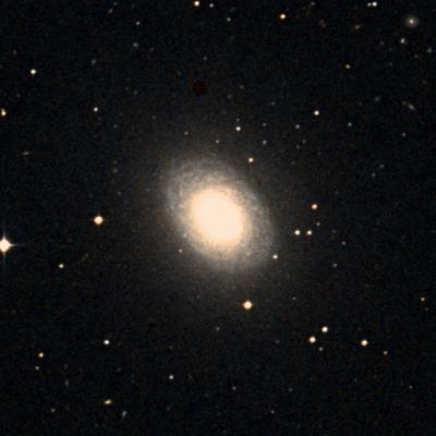 NGC 4699 survey image