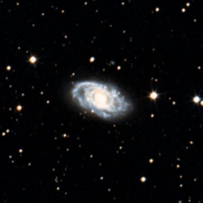 IC 2051 survey image