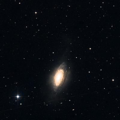 NGC 3521 survey image