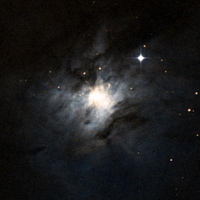 NGC 2071 survey image