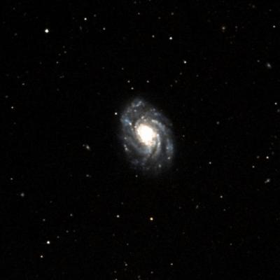 NGC 3810 survey image