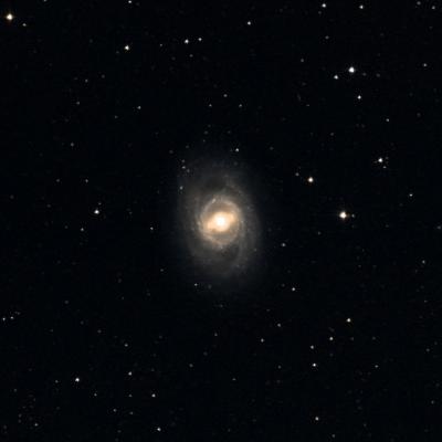 Messier 95 survey image