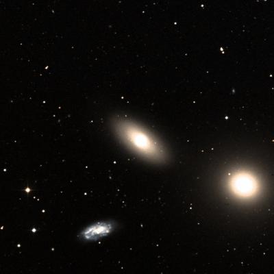 NGC 3384 survey image
