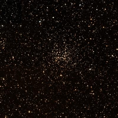 NGC 2194 survey image