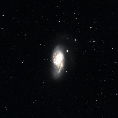 Messier 66 survey image