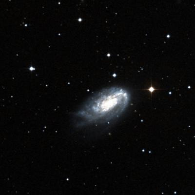 NGC 4654 survey image