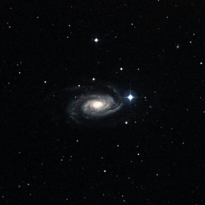 NGC 3338 survey image