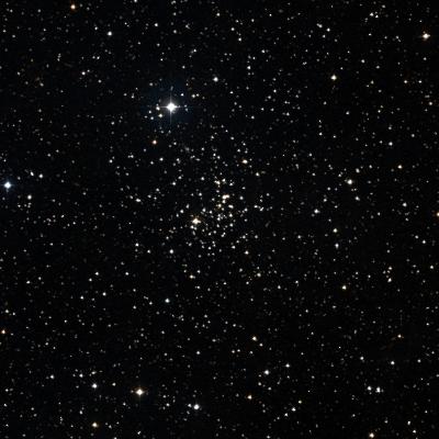 NGC 2355 survey image