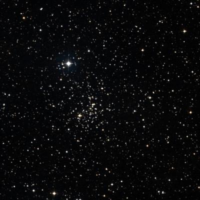 NGC 2355 survey image