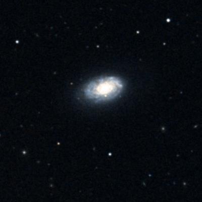 NGC 4237 survey image