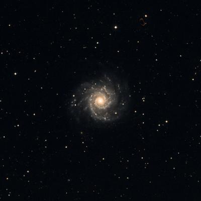 Messier 74 survey image